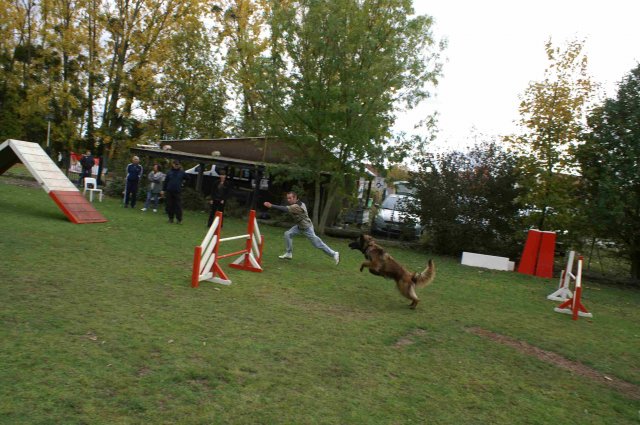 agility 2011-10-30